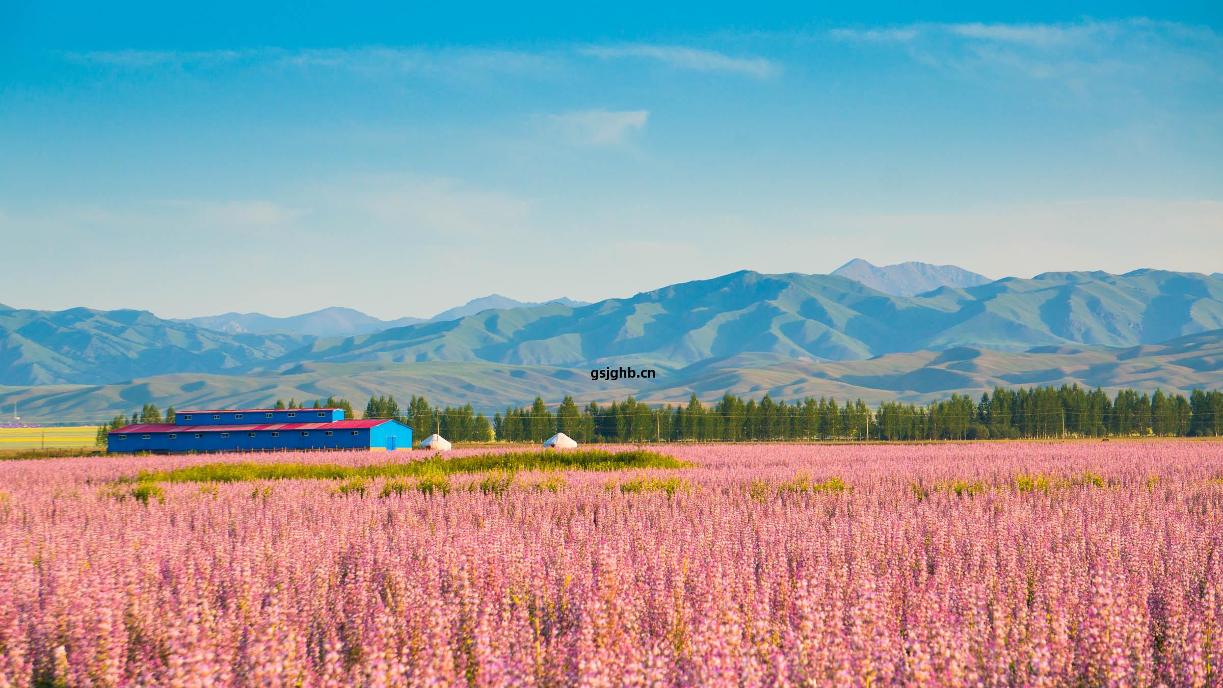 北(bei)疆大環線(xian) 夏季新(xin)疆最美自駕路線(xian)，壹(yi)覽(lan)北(bei)疆絕色風(feng)光